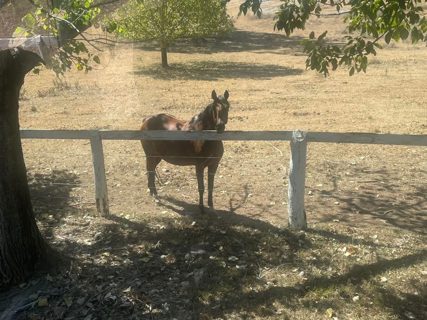 Dubbo Zoo 2025 Image -67de049f8ac20